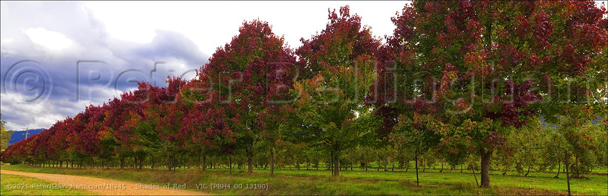 Peter Bellingham Photography Shades of Red - VIC (PBH4 00 13190)